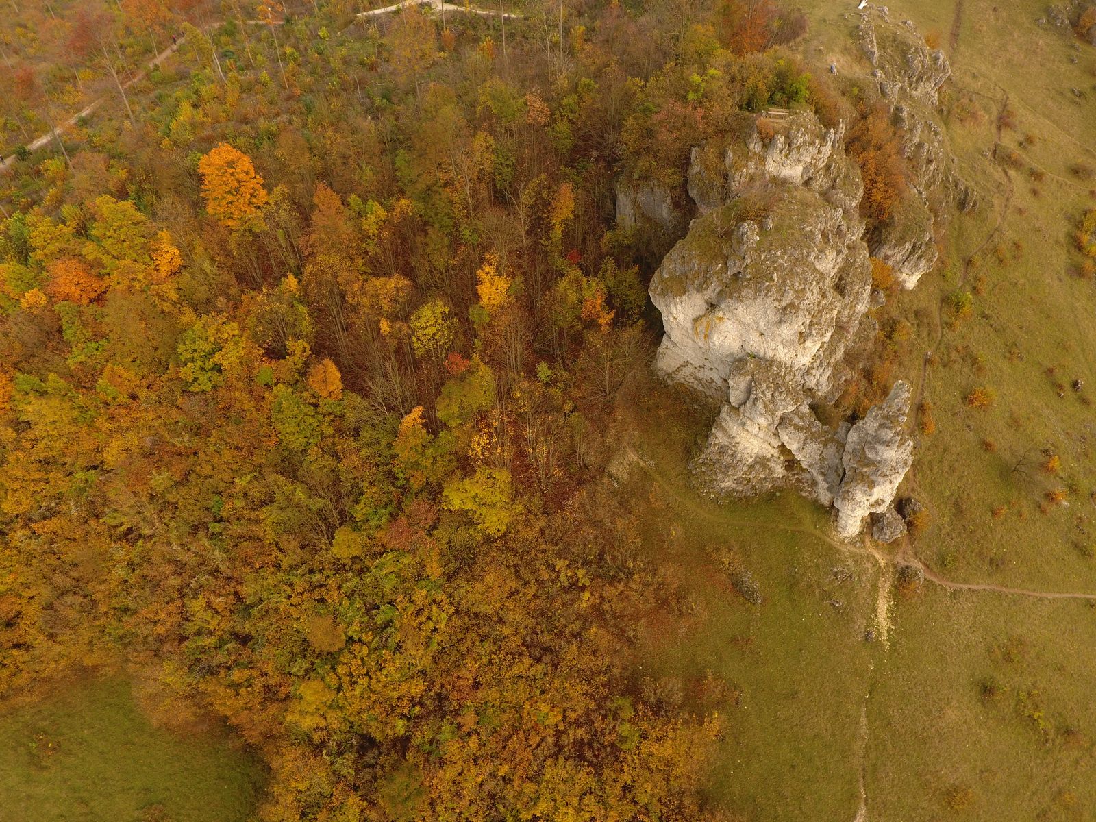 Rock on the Walberla in the autumn forest, from the air